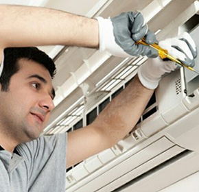 service img